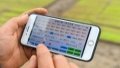 A farmer operates a smart water-fertilizer integration system on his mobile phone at a multi-functional greenhouse in Yuhu District of Xiangtan City, central China's Hunan Province. Photo by Xinhua/Chen Zeguo.