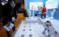 A visitor interacts with a robot of SoftBank Group at the intelligent industry and information technology exhibition zone of the 6th China International Import Expo (CIIE) in east China's Shanghai. Photo by Xinhua/Zhang Jiansong.