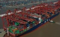 A cargo ship docking at the Meishan port area of the Ningbo-Zhoushan Port in east China's Zhejiang Province. Photo by Xinhua/Huang Zongzhi.