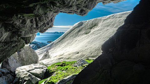 Літо в Антарктиді. Фото: Сергій Глотов, Дмитро Мартиненко