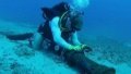 Cable providing internet to Asia and Middle East damaged in Red Sea
