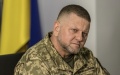 Ukraine informs White House about dismissal of Zaluzhnyi