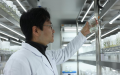 Yan Jianbin, a researcher at the Agricultural Genomics Institute at Shenzhen (AGIS) under the Chinese Academy of Agricultural Sciences (CAAS). Photo by AGIS/Xinhua.