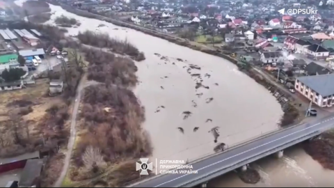 В ДПСУ показали, як зараз виглядає річка Тиса, через яку переправляються ухилянти