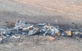 UAV debris fall in Desnianskyi District in Kyiv, grass catches fire