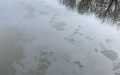 Environmental Protection Ministry estimates environmental damage from russian blow to oil depot in Kharkiv Region at UAH 30 million