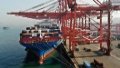 A cargo ship docking at Qingdao Port, east China's Shandong Province. Photo by Xinhua/Li Ziheng.