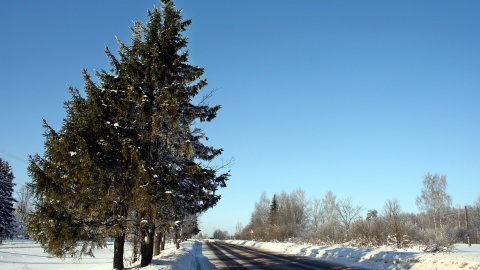 Зима. Фото: pixabay