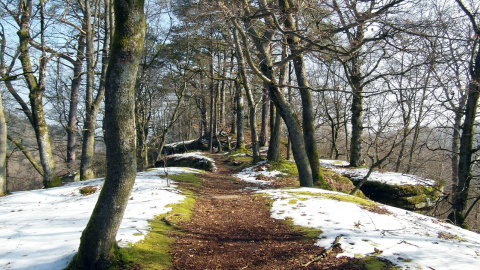 Зима. Фото: pixabay