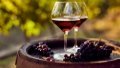 Ukraine to introduce licensing for imports of grapes and wine from Moldova in response to suspension of