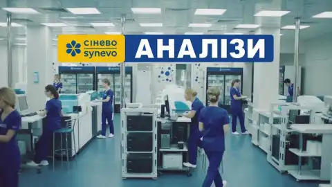 СИНЭВО. Фото - соцсети