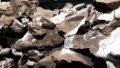 Fossils of a new armored dinosaur species, "Datai yingliangis". Photo by Xinhua.