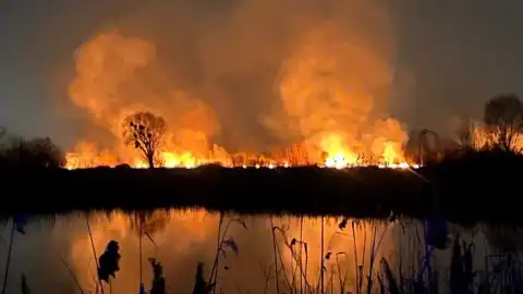 Пожежа біля озера Тягле. Фото: ДСНС