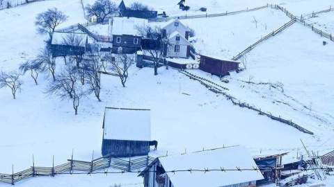 Карпати. Фото: Громадська організація "Офіс незалежних екологів" 