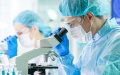 Chinese researchers discover new cancer-fighting mechanism of blood cells. Photo by Xinhua.