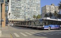 New energy vehicles in China's public transport system. Photo by Xinhua.
