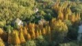 China plants nearly 4 million hectares of forest in 2023. Photo by Xinhua.