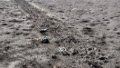 AFU destroy 1,100 invaders, 11 units of armored vehicles and 42 artillery systems.