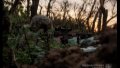 Russian army storming Novopavlivsk axis most actively. 60 combat clashes take place at front during day -