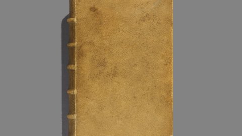 Книга "Des Destinées de L'âme" (Долі душі). Фото: thehistoryblog.com