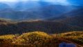 A view of the Northeast China Tiger and Leopard National Park. Photo by Gu Baochen/Xinhua.