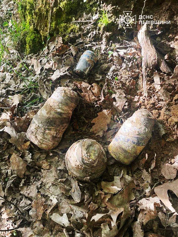 Виявлено 4 одиниці закритих місткостей з ртуттю. Фото: ДСНС Львівщини