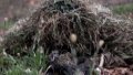 AFU repel 26 attacks on Novopavlivsk Axis and 29 on Bakhmut Axis - General Staff