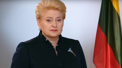 Грибаускайте підтримала українців після референдуму в Нідерландах українською мовою