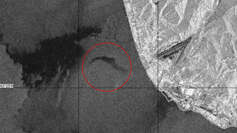 Опубліковано супутниковий знімок місця катастрофи Ту-154. Фото: © ESA/Інститут космічних досліджень РАН