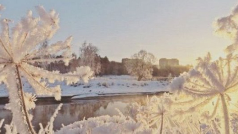 Відомі українці пірнули в йорданську воду