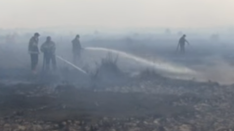 Фото: скріншот відео