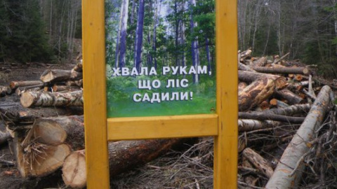 У мережі показали масштаби екологічної катастрофи в Карпатах