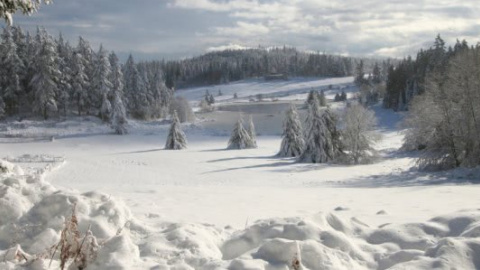 Журналістка проїхалась на лижах в купальнику в Карпатах