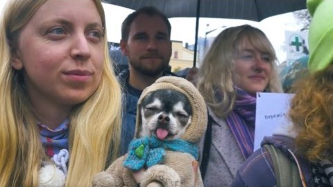 Всего этот марш прошел в 17 городах Украины. Скриншот видео facebook.com/UAnimals.