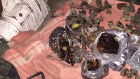 ​У Рівненській області спіймали дві банди скупників бурштину