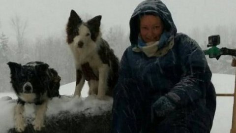 В Канаде женщина прокатилась на собачьей упряжке до закусочной