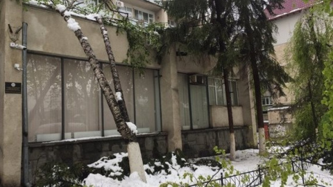 До ліквідації наслідків сильних снігопадів, які вже другий день тривають в Молдові залучили армію. Фото: chv.tv