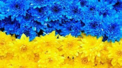 Вчера украинцы образовали живую цепь в поддержку мира в стране