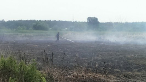 Під Києвом пожежі рекордно розширили свою площу