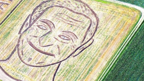 ​Итальянский дизайнер выстриг в поле огромный портрет Робина Уильямса