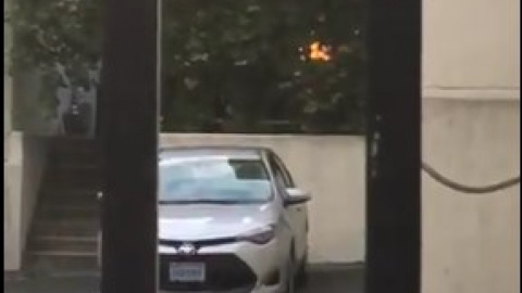 Журналісти зняли на відео вогнище за огорожею. Скріншот відео 