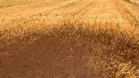 Фото- та відеоматеріали порушення російськими "Градами" держкордону направлені в МЗС і російській стороні. Скріншот youtube.