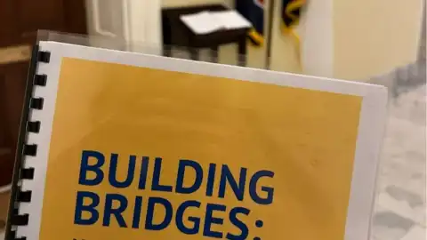During an international conference in Washington, D.C., American experts supported a "public plan for reform"