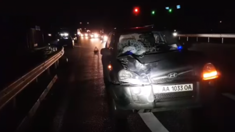 Під Києвом на Дніпропетровському шосе автомобіль збив пішохода-порушника