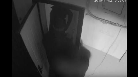 Злочинці винесли з квартири "плазму". Скріншот відео