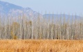 The view of Yeya (Wild Duck) Lake national wetland park in Yanqing District of Beijing, the capital of China. Photo by Xinhua/Ju Huanzong.