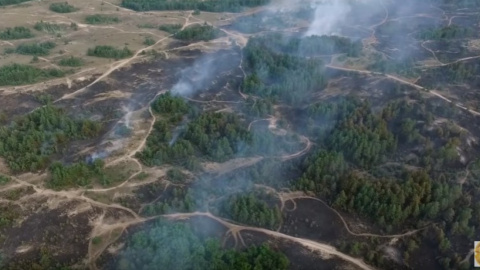Пожежа на військовому полігоні в Гвардійському тушкують більше доби. Скріншот відео youtube.com/watch?v=PXkp1x-0AnQ
