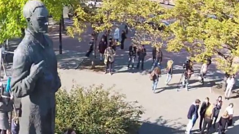 Чистка Сковороди з висоти польоту міських птахів