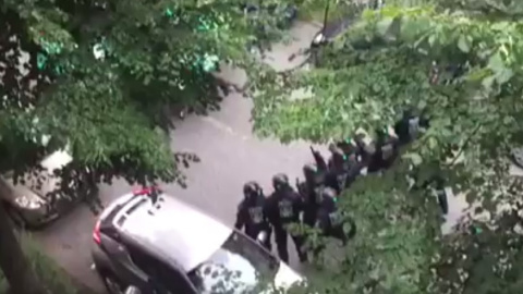 У Гамбуоге сталося зіткнення між поліцією і "Черни блоком". Скріншот відео 