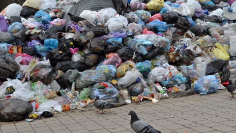 Дві фури з львівськими номерами скинули сміття в полі біля Києва
